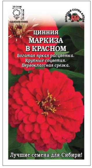 Цветы Цинния Маркиза в Красном ЦВ/П (СОТКА) 0,3гр однолетник 70-90см