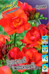 Фрезия махровая Красная (1уп/10шт)