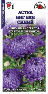 Цветы Астра Биг Бен Синяя ЦВ/П (СОТКА) 0,2гр однолетник до 65см