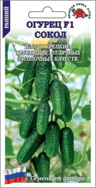 Огурец Сокол F1 ЦВ/П (СОТКА) 0,3гр раннеспелый
