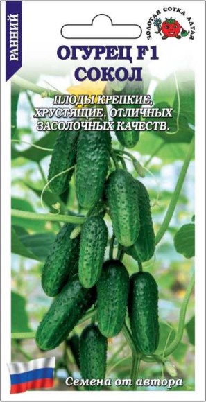 Огурец Сокол F1 ЦВ/П (СОТКА) 0,3гр раннеспелый Огурец Сокол F1 ЦВ/П (СОТКА) 0,3гр раннеспелый