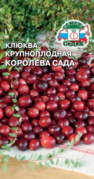 Клюква Королева сада ЦВ/П (СЕДЕК) 0,05гр многолетник 20-30см