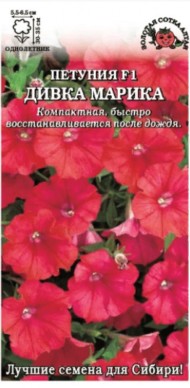 Цветы Петуния Дивка Марика F1 ЦВ/П (СОТКА) 10шт красный однолетник 30-35см