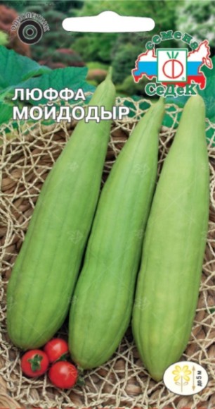 Люффа Мойдодыр F1 ЦВ/П (СЕДЕК) 0,3гр раннеспелый