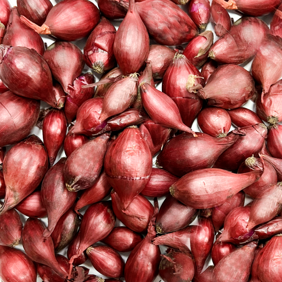 Лук-севок Ред Барон 8/21 Лот-10 Мешок