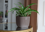 Горшок Фабио 1,95лит Шоколад 14х14 х14см (с дренажной системой)