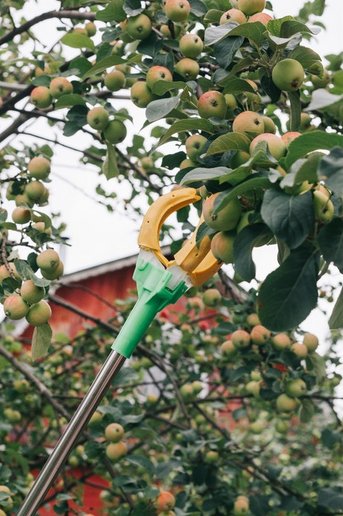 Плодосборник Ручка пистолет с Металл черенком Арт-5245031 Плодосборник Ручка пистолет с Металл черенком Арт-5245031