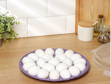 Контейнер пластиковый для Яиц 22 ячейки D-30см Доляна Контейнер пластиковый для Яиц 22 ячейки D-30см Доляна