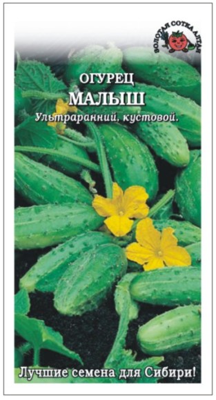 Огурец Малыш ЦВ/П (СОТКА) 0,3гр ультраранний