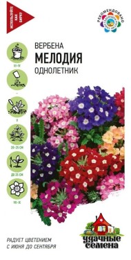 Цветы Вербена Мелодия Смесь ЦВ/П (ГАВРИШ) серия УДС 0,05гр однолетник до 25см