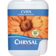 Хризал Диспенсер 400 таблеток CVBN