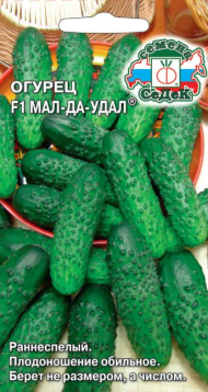 Огурец Мал-да-Удал F1 ЦВ/П (СЕДЕК) 0,2гр раннеспелый партенокарпический