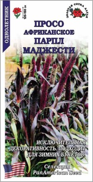 Цветы Просо Африкан Парпл Маджести ЦВ/П (СОТКА) 3шт однолетник до 1,5м