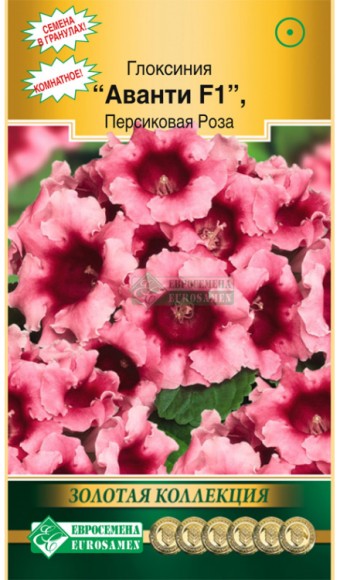 Цветы Глоксиния Аванти Персиковая Роза ЦВ/П (ЕС) 5шт комнатное