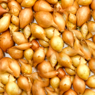 Лук-севок Стурон ФАСОВКА 0,5лит