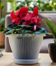 Горшок Гамма Плюс 2,9лит D-22см Прозрачный с поддоном