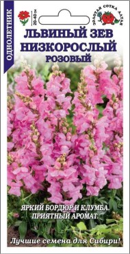 Цветы Львиный Зев Низкорослый Розовый ЦВ/П (СОТКА) 0,1гр однолетник 20-40см