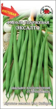 Фасоль Эксалто ЦВ/П (Сотка) 5гр среднеранний спаржевый 40-60см