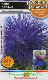 Цветы Астра Русский размер Сапфир ЦВ/П (НК) 0,3гр фиолетовая игольчатая однолетник 80см