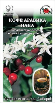 Цветы Кофе Арабика Нана ЦВ/П (СОТКА) 0,05гр комнатное до 1,2м