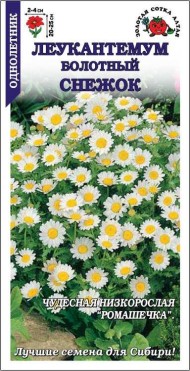 Цветы Леукантеум Снежок ЦВ/П (СОТКА) 0,1гр однолетник 20-25см