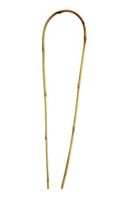 Бамбук U - образный 75см