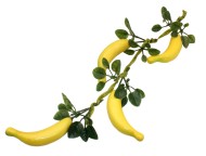 Вязанка Банан длина ветки 40см