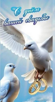 Конверт для денег С Днем Вашей Свадьбы Арт-KD00000247