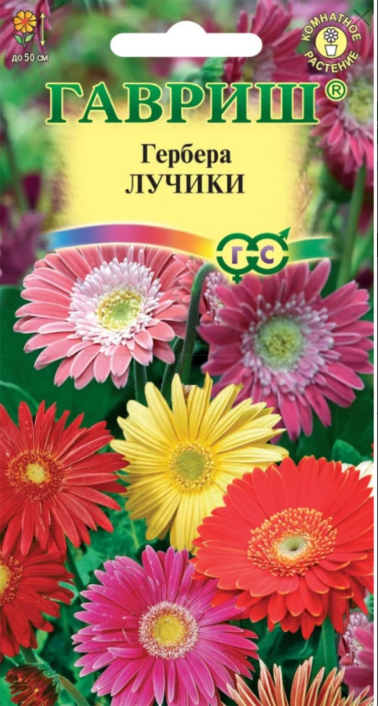 Цветы Гербера Лучики смесь ЦВ/П (ГАВРИШ) 0,05гр комнатное до 50см