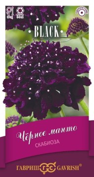 Цветы Скабиоза Чёрное манто ЦВ/П (ГАВРИШ) 0,2гр однолетник 90см