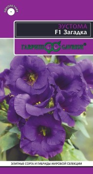 Цветы Эустома Загадка ЦВ/П (ГАВРИШ) 4шт однолетник до 25см