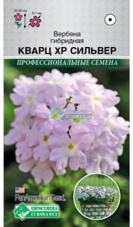 Цветы Вербена Кварц Сильвер гибрид ЦВ/П (ЕС) 5шт однолетник 20-25см