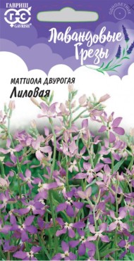 Цветы Маттиола двурогая Лиловая Лавандовые грёзы ЦВ/П (ГАВРИШ) 0,3гр однолетник 40-50см