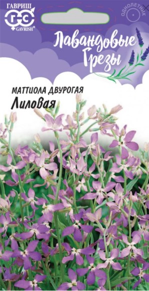 Цветы Маттиола двурогая Лиловая Лавандовые грёзы ЦВ/П (ГАВРИШ) 0,3гр однолетник 40-50см Цветы Маттиола двурогая Лиловая Лавандовые грёзы ЦВ/П (ГАВРИШ) 0,3гр однолетник 40-50см