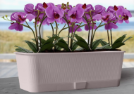 Балконный ящик Прованс 9,5лит Пудра 580*170*130мм с прикорневым поливом