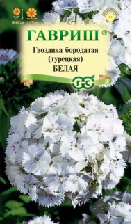Цветы Гвоздика турецкая Белая ЦВ/П (ГАВРИШ) 0,1гр двулетник 50-60см