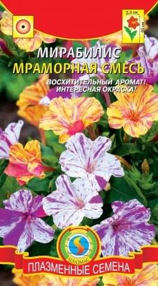 Цветы Молочай Горный снег ЦВ/П (СЕДЕК)