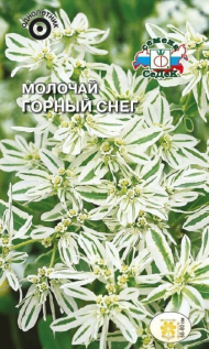 Цветы Молочай Горный снег ЦВ/П (СЕДЕК) 0,3гр однолетник