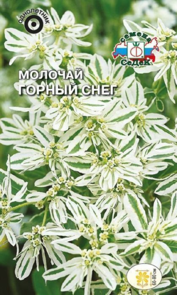 Цветы Молочай Горный снег ЦВ/П (СЕДЕК) 0,3гр