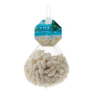 Набор Ракушек 130гр Арт-A024