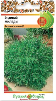 Салат Эндивий Миледи ЦВ/П (РУССКИЙ ОГОРОД) 0,5гр раннеспелый листовой фризе