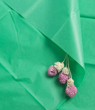 Бумага листами Тишью 50*66см Зеленая (1уп/10шт) ЦЕНА за лист