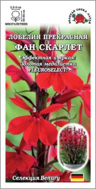 Цветы Лобелия Фан Скарлет ЦВ/П (СОТКА) 5шт многолетник 50-60см