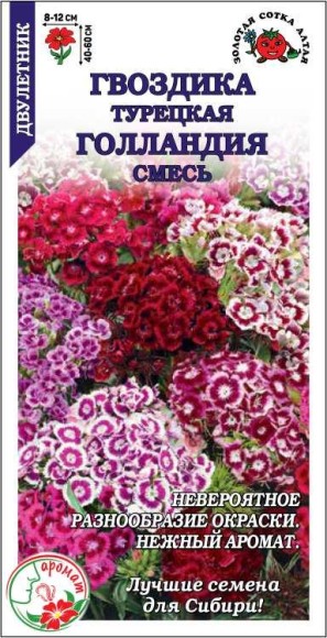 Цветы Гвоздика турецкая Голландия ЦВ/П (СОТКА) 0,3гр смесь двулетник 40-60см