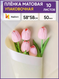 Пленка Листами Матовая с Кантом Крем 58/58см (1уп/10шт) Цена за лист