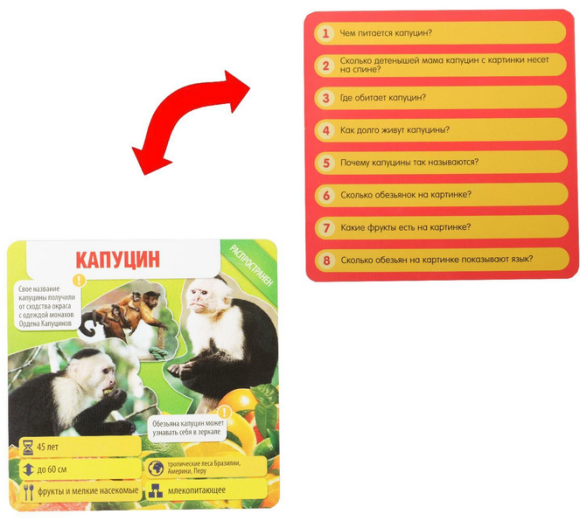 Игра Животные всего мира 50карт 7+ Арт-1243615