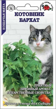 Пряность Котовник Бархат ЦВ/П (СОТКА) 0,2гр многолетник