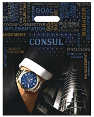 Сумочка пакет п/э 310*400мм Консул Арт-442601