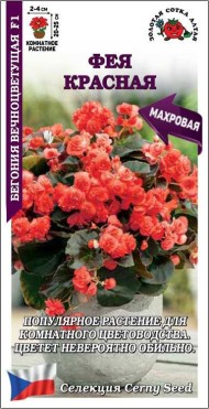 Цветы Бегония вечноцветущая F1 Фея Красная ЦВ/П (СОТКА) 5шт комнатное 20-25см