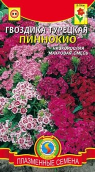 Цветы Гвоздика турецкая Пиннокио ЦВ/П (ПЛАЗМА) 0,2гр смесь двулетник до 25см